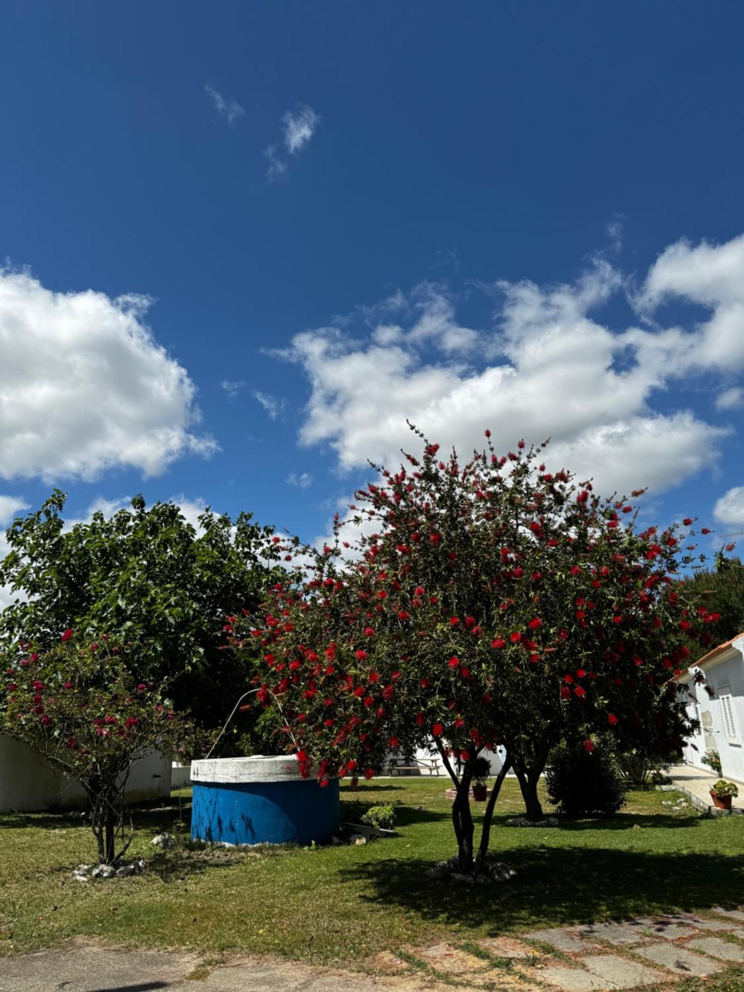 Na Quinta- Alojamento Rural Com Piscina De Agua Salgada Poceirao Exterior photo