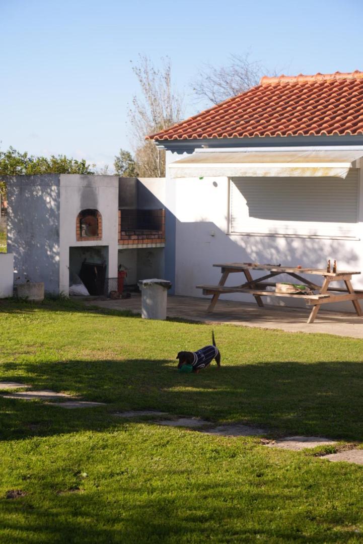 Na Quinta- Alojamento Rural Com Piscina De Agua Salgada Poceirao Exterior photo